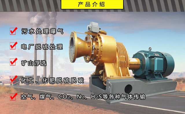 單級離心高速羅茨風(fēng)機(jī)